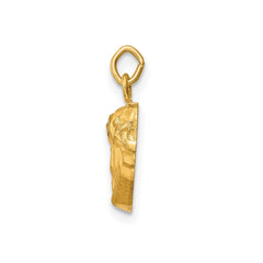 14k Real Yellow Gold Polished and Satin Jesus Medal Charm Pendant, 0.5x0.5