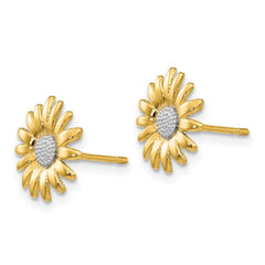 14K Yellow Real Solid Gold Daisy Flower Stud Earrings, 10mm Diameter - JewelryAffairs