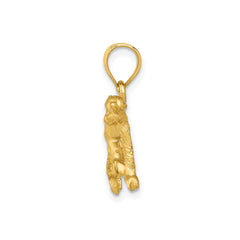 10k Yellow Gold Diamond Cut Monkey Pendant, 22x17mm