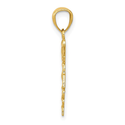 10k Yellow Gold Diamond-cut RN Registered Nurse Pendant, 24mm