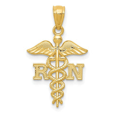 10k Yellow Gold Diamond-cut RN Registered Nurse Pendant, 24mm
