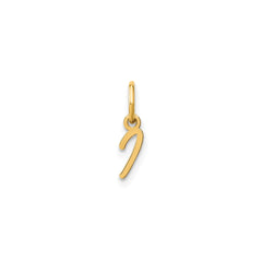 10K Yellow Gold Script Letter Initial Charm Pendant, 14x10mm