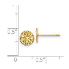 14k Real Yellow Gold Diamond-Cut Sand Dollar Post Stud Earrings, 8mm