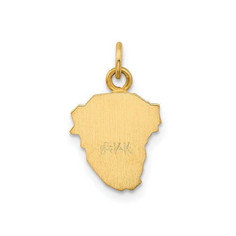 14k Real Yellow Gold Polished and Satin Jesus Medal Charm Pendant, 0.5x0.5