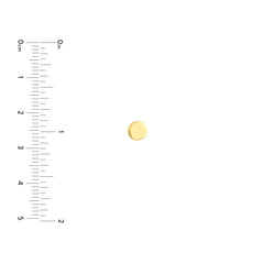 14K Real Yellow Gold Round Disc Stud Earrings 5mm