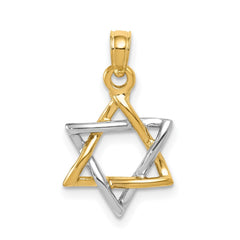 14K Two - Tone Gold Polished Star of David Pendant, 13mm - JewelryAffairs