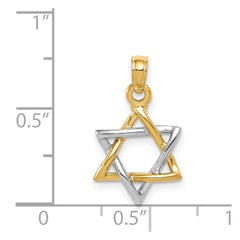 14K Two - Tone Gold Polished Star of David Pendant, 13mm - JewelryAffairs