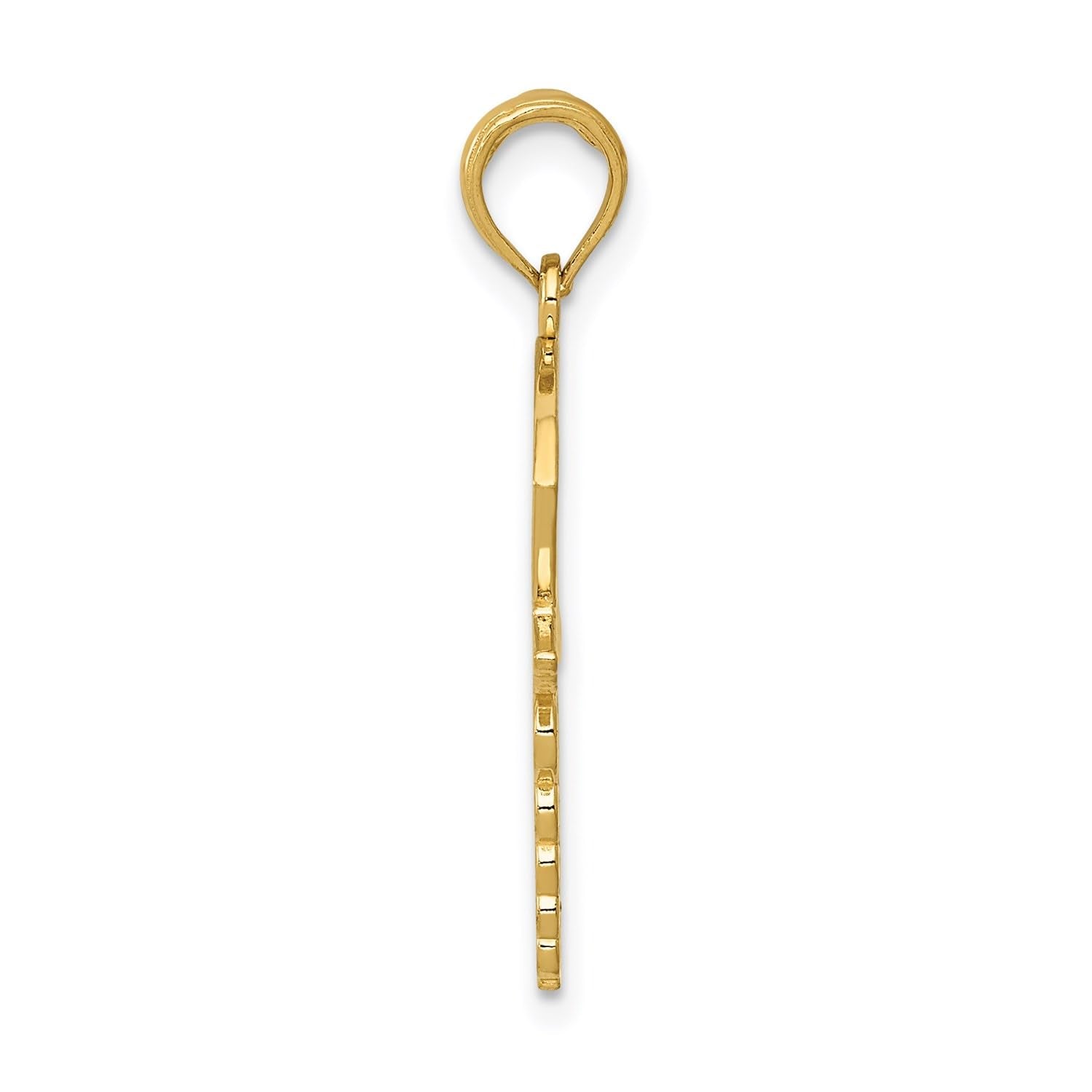 14k Yellow Gold Caduceus Registered Nurse Cap Pendant, 30x15mm - JewelryAffairs