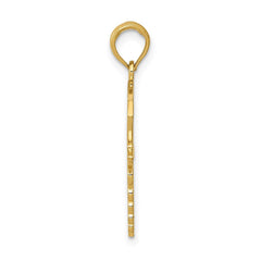 14k Yellow Gold Caduceus Registered Nurse Cap Pendant, 30x15mm - JewelryAffairs