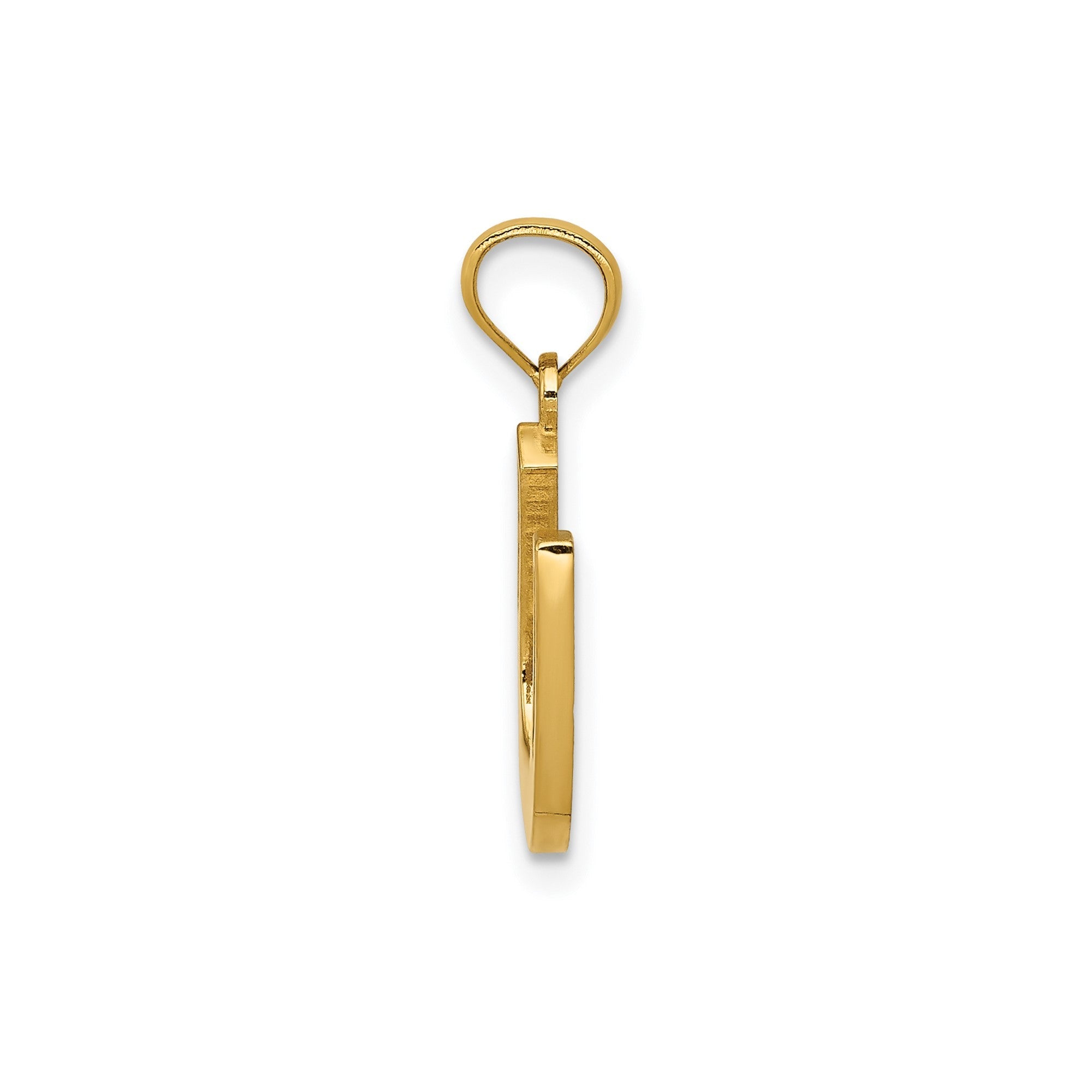 14k Yellow Gold Horseshoe Pendant, 17x17mm