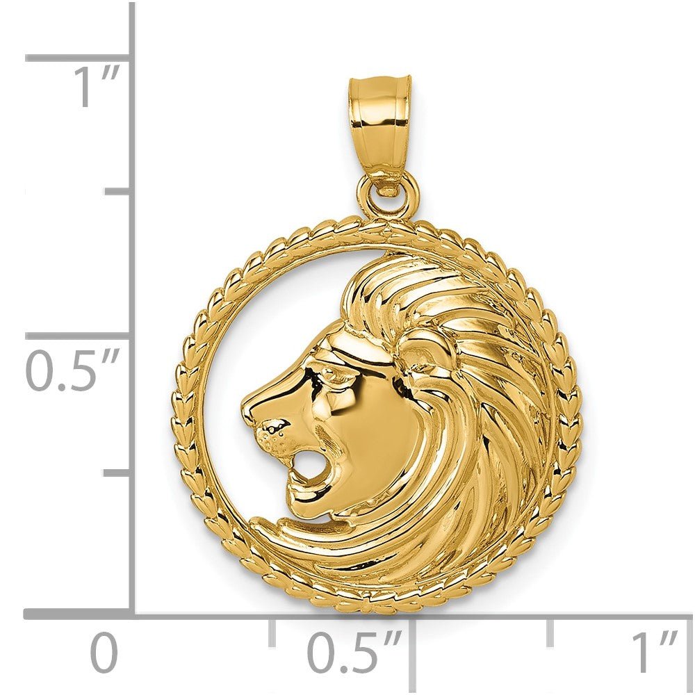 14k Yellow Gold Lion Head with Mane in Textured Circle Pendant, 25mm - JewelryAffairs