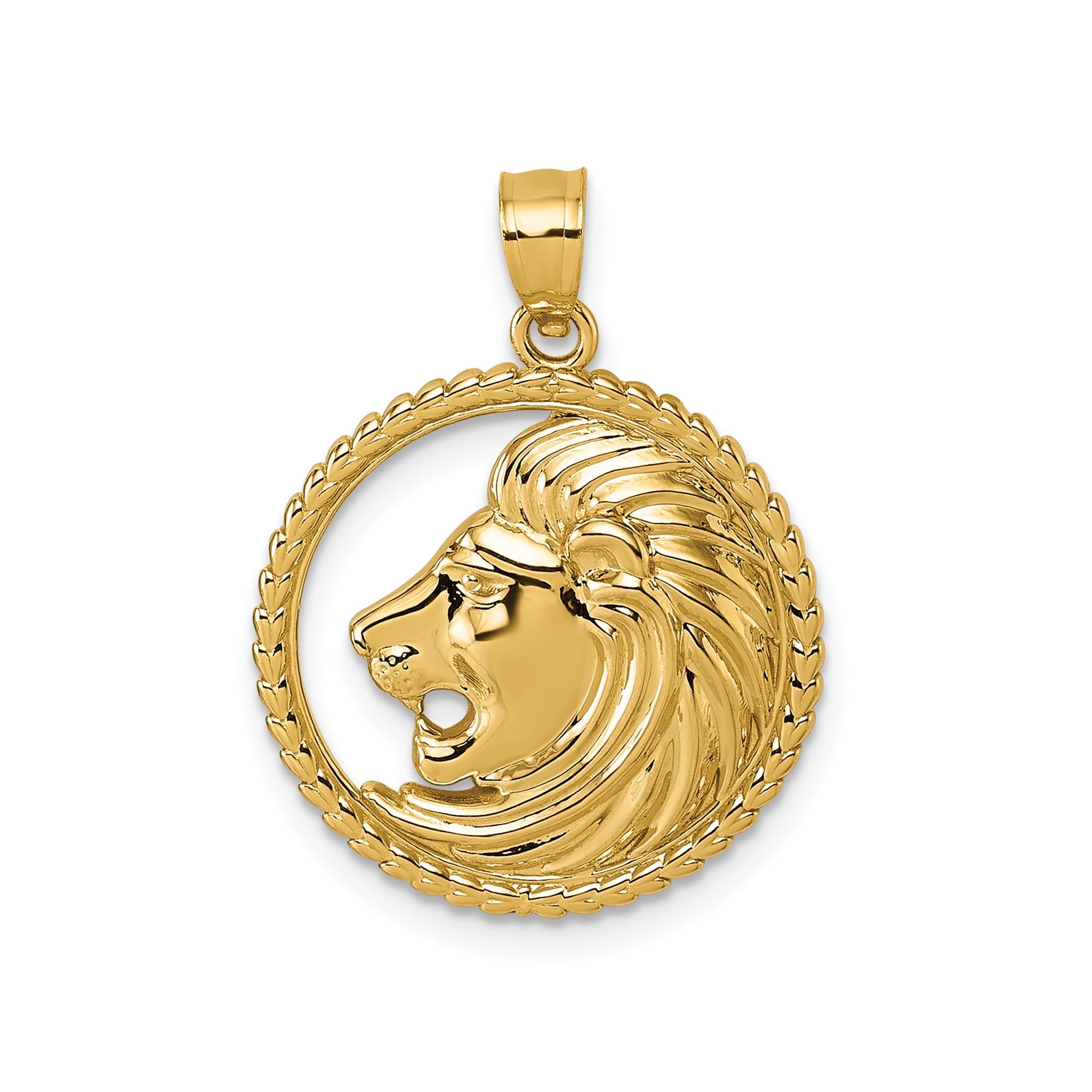 14k Yellow Gold Lion Head with Mane in Textured Circle Pendant, 25mm - JewelryAffairs