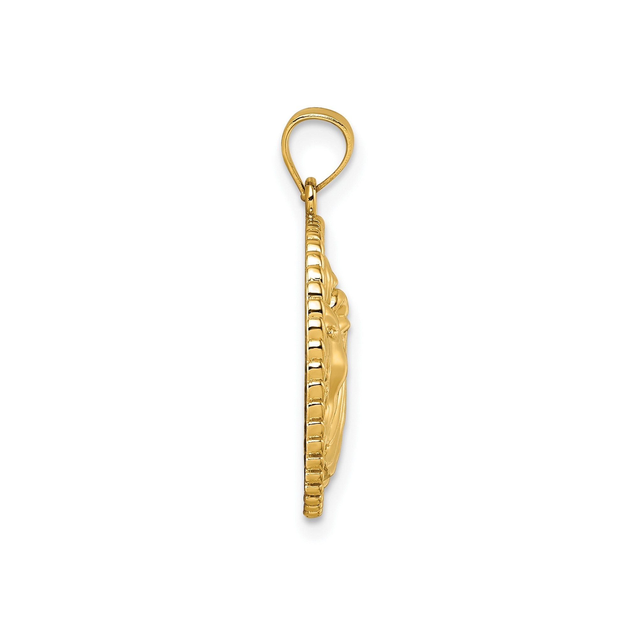 14k Yellow Gold Lion Head with Mane in Textured Circle Pendant, 25mm - JewelryAffairs