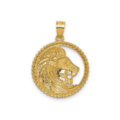 14k Yellow Gold Lion Head with Mane in Textured Circle Pendant, 25mm - JewelryAffairs