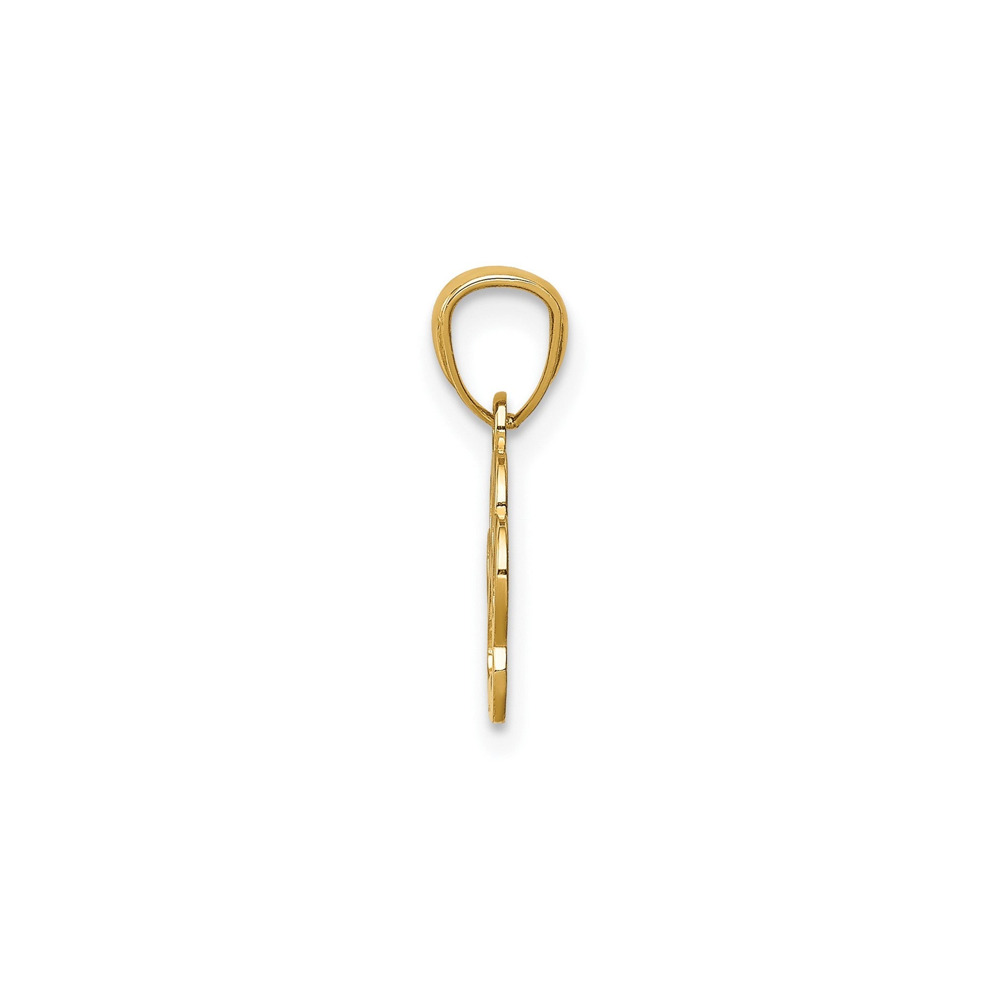 14K Yellow Gold Puppy Dog Paw Pendant, 12x12 - JewelryAffairs