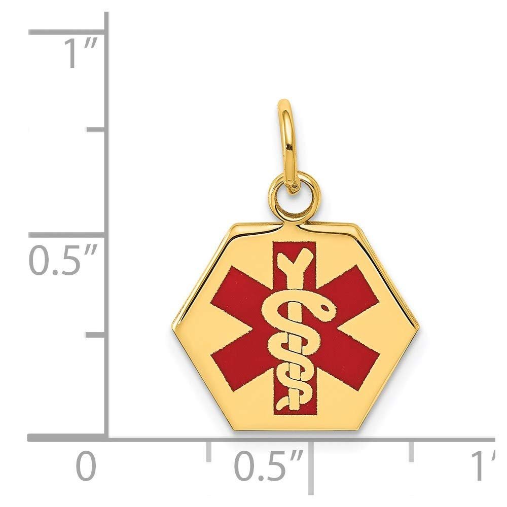 14k Yellow Gold Red Enamel Medical Hexagonal Disc Pendant, 20x15mm - JewelryAffairs