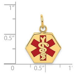 14k Yellow Gold Red Enamel Medical Hexagonal Disc Pendant, 20x15mm - JewelryAffairs