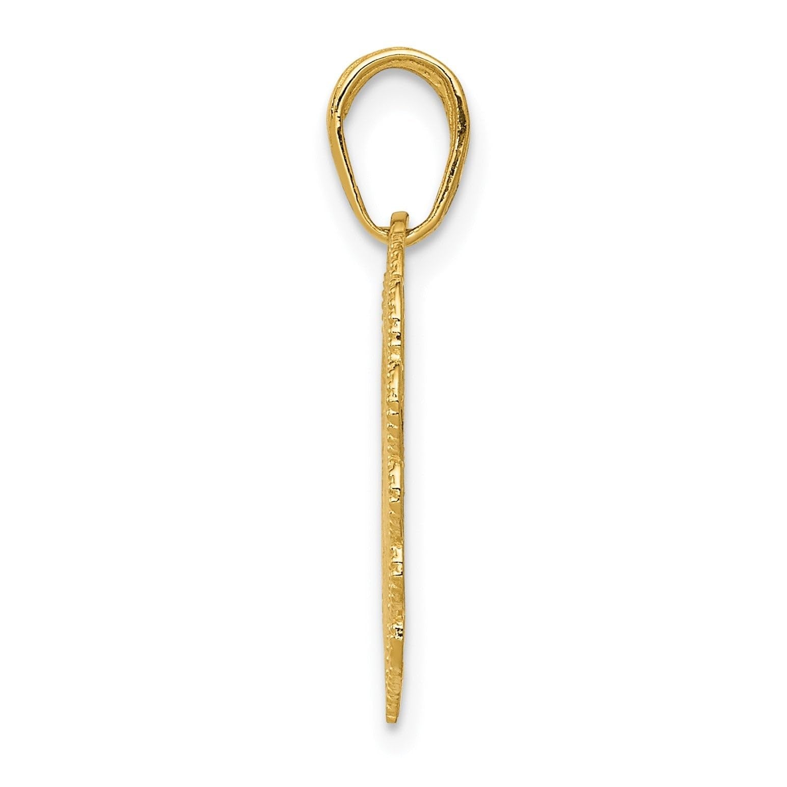 14k Yellow Gold RN Registered Nurse Heart Pendant, 18x18mm - JewelryAffairs