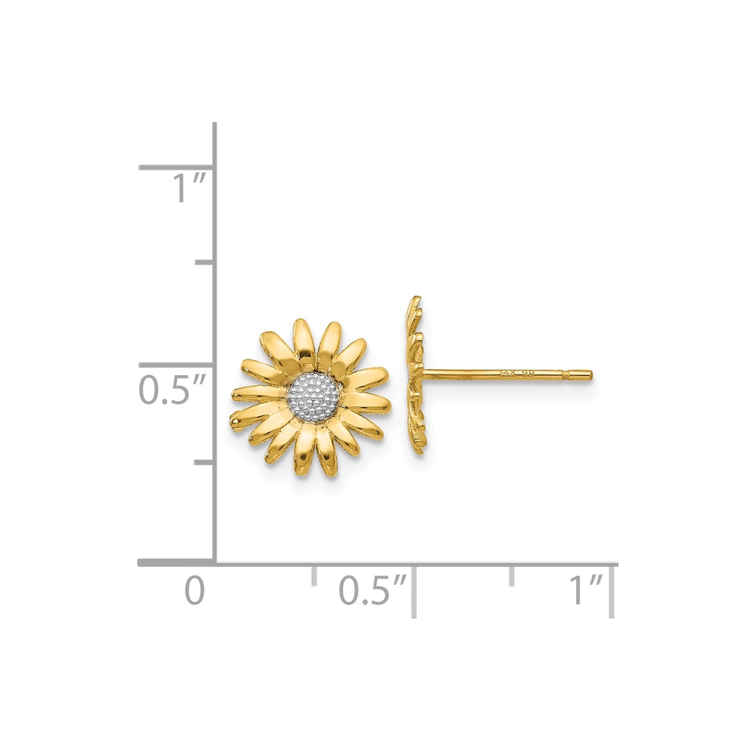 14K Yellow Real Solid Gold Daisy Flower Stud Earrings, 10mm Diameter