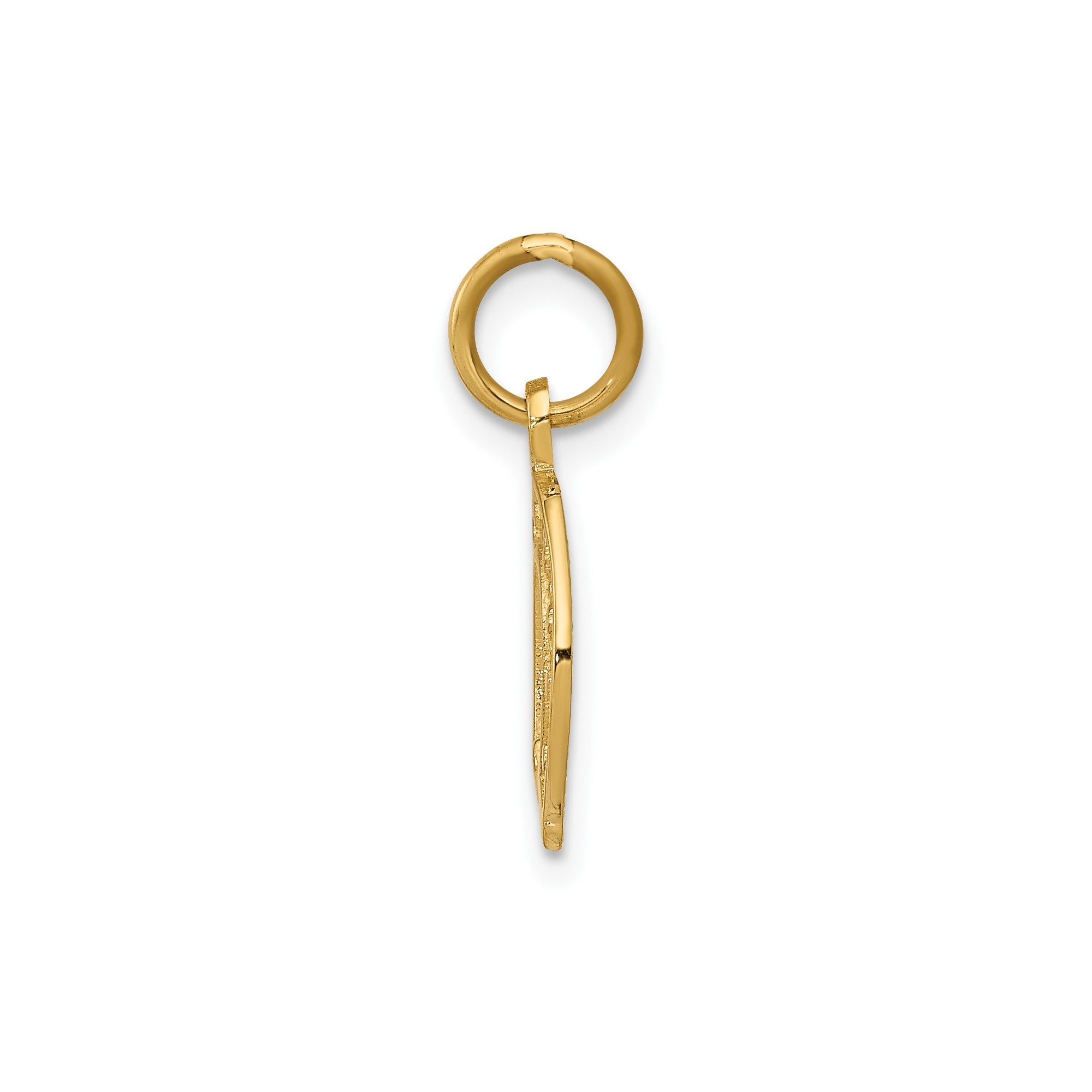 14k Yellow Gold Horseshoe Charm Pendant, 20x10mm