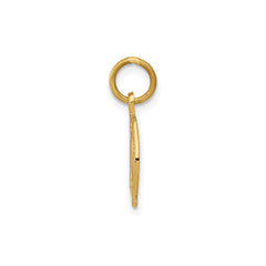 14k Yellow Gold Horseshoe Charm Pendant, 20x10mm