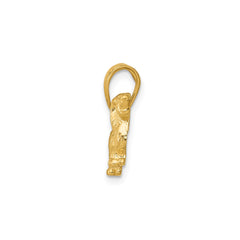 14k Yellow Gold Long-Haired Dachshund Dog Pendant Charm, 14x17mm