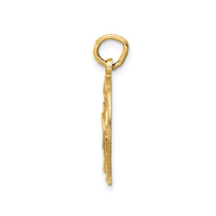 14k Yellow Gold Horseshoe Charm Pendant, 20x15mm