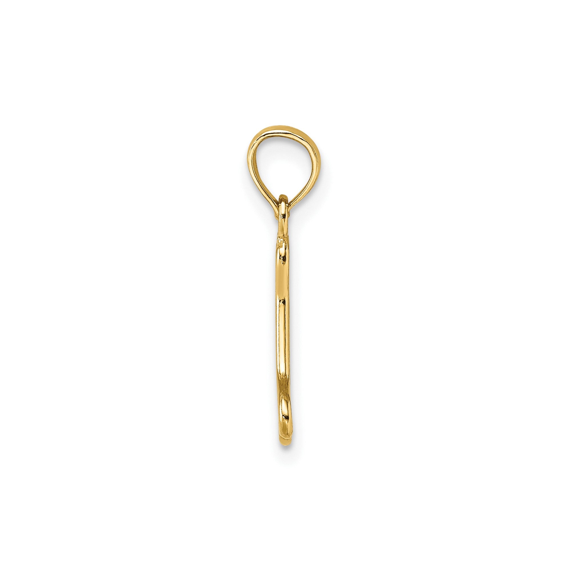 Solid Yellow Gold High Polished Mini Dog Bone Charm Pendant, 17x6mm