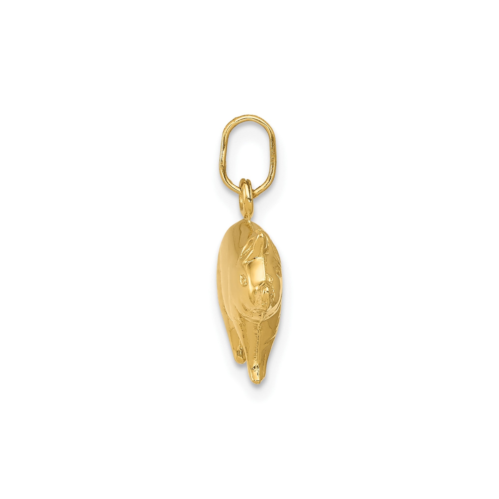14k Yellow Gold Piggy Pendant, 16x16mm