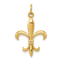 Real Solid Yellow and White Gold Polished Flue de lis Pendant Charm - JewelryAffairs