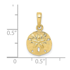 Sand Dollar Pendant, Real Gold, 12mm, Jewelry Accessory